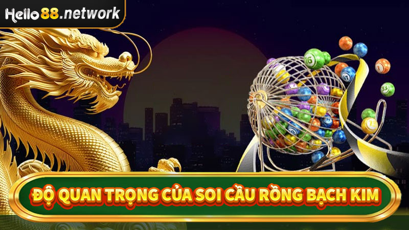 Tầm quan trọng của việc soi cầu rồng bạch kim trong khi cá cược 